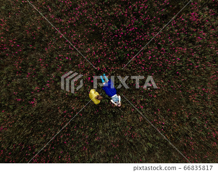 Woman and man on green grass in park Woman and man on green grass in park 66835817