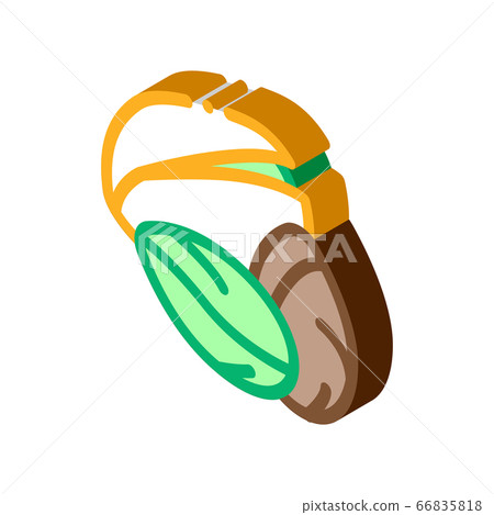 pistachio nut icon vector outline illustration pistachio nut icon vector outline illustration 66835818