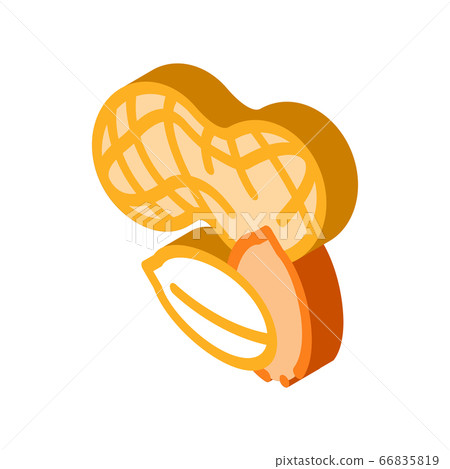 peanut nuts icon vector outline illustration peanut nuts icon vector outline illustration 66835819