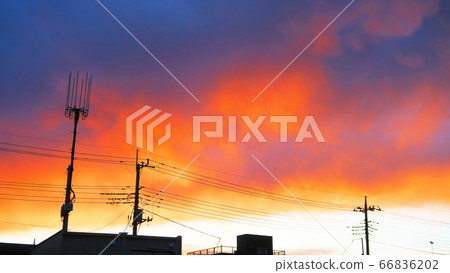 Evening view of the city 66836202