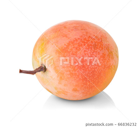 Mangoes R2E2 isolate on white background.This has 66836232