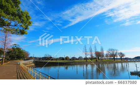 Scenery of Teganuma Park (Abiko City, Chiba... - Stock Photo [66837080 ...