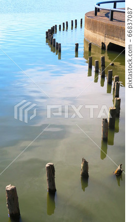 Scenery of Teganuma Park (Abiko City, Chiba... - Stock Photo [66837087 ...