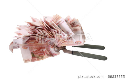 Allegory of the global financial crisis - the Russian Ruble in the grip of economic crisis, on a white background Allegory of the global financial crisis - the Russian Ruble in the grip of economic crisis, on a white background 66837355