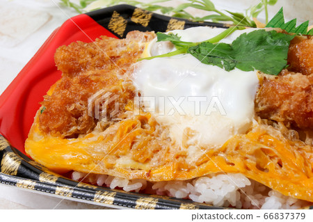 Bento, bento, shrimp, tempura, shrimp bowl, convenience store bento, food, egg, container Bento, bento, shrimp, tempura, shrimp bowl, convenience store bento, food, egg, container 66837379