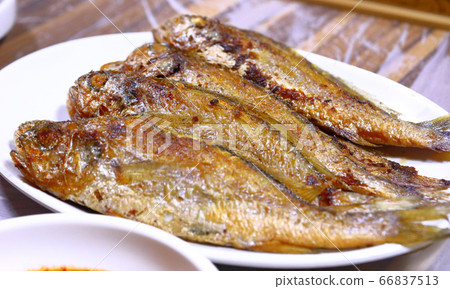 古爾比，早期，配菜，古爾比，早期蒸，海鮮，魚， 66837513