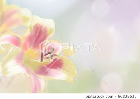 Handwritten lily illustration Handwritten lily illustration 66839633