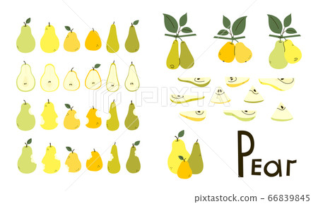 Pears whole, cut, bitten. Pear half and slices. Pear tree branches with leaves. Set of vector objects in yellow, green, orange colors isolated on white. Positive flat design. Cartoon style. Clip art Pears whole, cut, bitten. Pear half and slices. Pear tree branches with leaves. Set of vector objects in yellow, green, orange colors isolated on white. Positive flat design. Cartoon style. Clip art 66839845