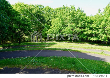 Climb the view mountain in the starry green area 66839851