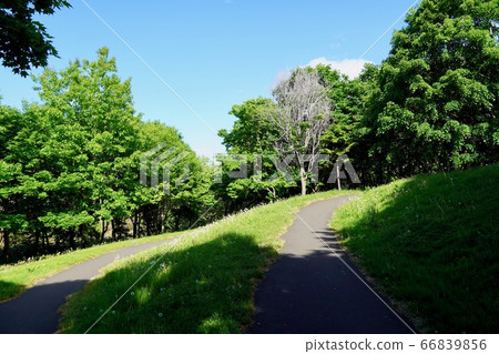 Climb the view mountain in the starry green area 66839856