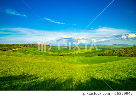 Landscape in Val d'Orcia valley of Tuscany. Landscape in Val d'Orcia valley of Tuscany. 66839942