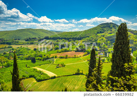 Landscape with a cypresses in Val d'Orcia region 66839982