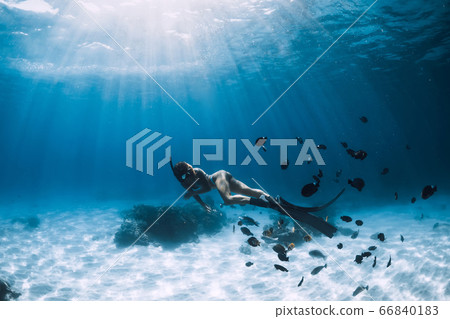 Free diver young woman with fins glides over sandy bottom with tropical fishes in transparent ocean 66840183