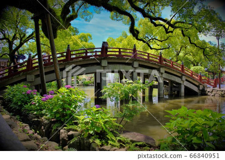 由於繡球花的產生，六月在福岡的Dazaifu Tenmangu的鼓橋脫穎而出。 66840951