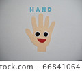 White background body parts palm 66841064