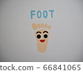 White background body parts soles 66841065