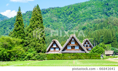 Early summer Shirakawa-go (daytime) Early summer Shirakawa-go (daytime) 66841641