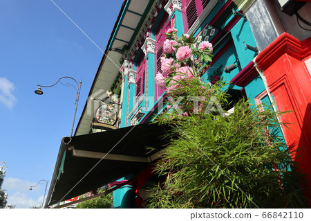 新加坡土生華人商店加東區 新加坡土生華人商店加東區 66842110