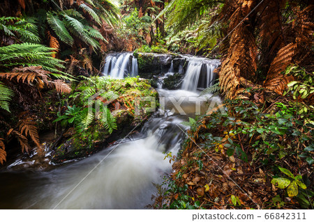 New Zealand waterfall New Zealand waterfall 66842311