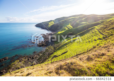 New Zealand hills New Zealand hills 66842318
