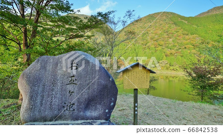 Tamakagaike in Hakone 66842538