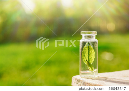 Small sheet in glass laboratory bottle to extracts and bio cosmetics for skin 66842847