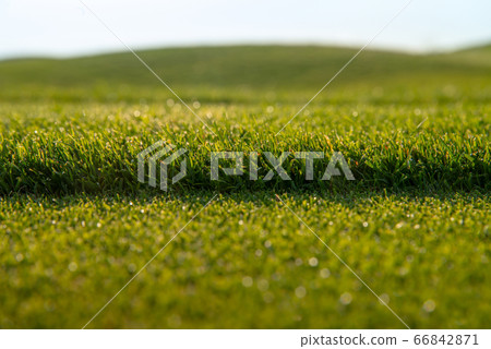 green short grass lawn, fresh cutting lawn-mower green short grass lawn, fresh cutting lawn-mower 66842871