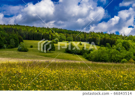 Rural Landscape With Forest And Flower Meadow At Cloudy Weather In Austria Rural Landscape With Forest And Flower Meadow At Cloudy Weather In Austria 66843514