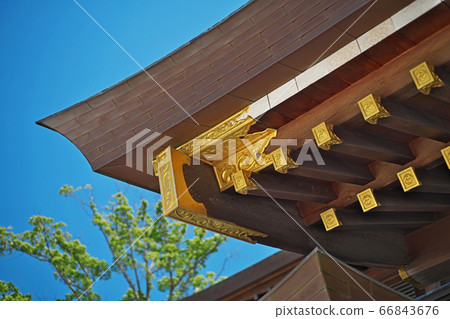 Samukawa Shrine wooden construction (spring) 66843676