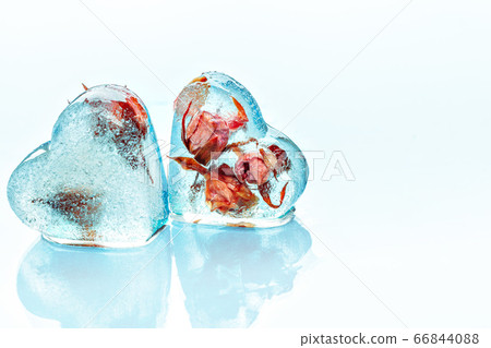 Frozen rose in ice cube 66844088