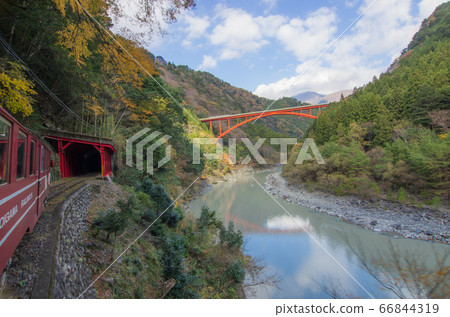 Oigawa, autumn leaves and bridges looking out of the Oigawa Railway window 66844319