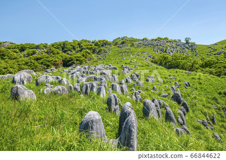 Kitakyushu City, Fukuoka Prefecture Fresh green Hiraodai Kitakyushu City, Fukuoka Prefecture Fresh green Hiraodai 66844622