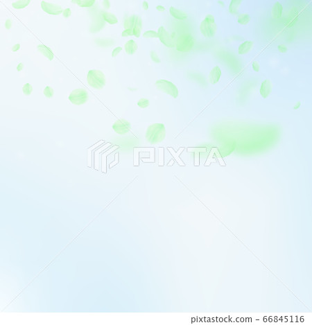 Green flower petals falling down. Bewitching roman 66845116