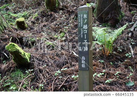 Taken at Mount Hino (Hyogo Prefecture, Tottori Prefecture) Taken at Mount Hino (Hyogo Prefecture, Tottori Prefecture) 66845135