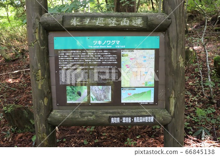 攝於日野山（鳥取縣兵庫縣） 66845138