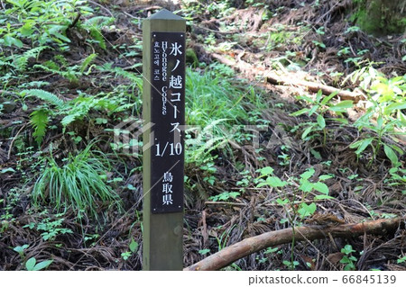 攝於日野山(鳥取縣兵庫縣) 攝於日野山(鳥取縣兵庫縣) 66845139