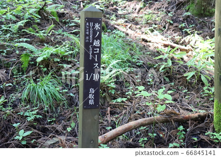 Taken at Mount Hino (Hyogo Prefecture, Tottori Prefecture) Taken at Mount Hino (Hyogo Prefecture, Tottori Prefecture) 66845141