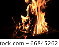 Bonfire flame　 66845262