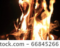 Bonfire flame　 66845266