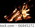 Bonfire flame　 66845272
