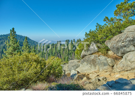 Sequoia National Park in California, USA. 66845875