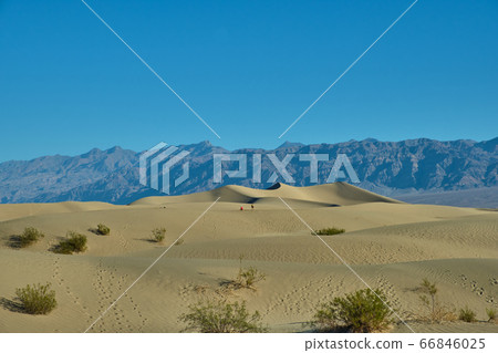 Mesquite Flat Sand Dunes, Death Valley National Park 66846025