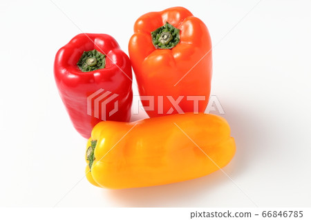 Kumamoto Prefecture Color Peppers White Background White Background Kumamoto Prefecture Color Peppers White Background White Background 66846785