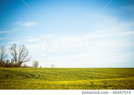 Beautiful landscape against blue sky with clouds Beautiful landscape against blue sky with clouds 66847014