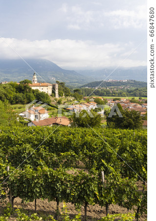 Vipava valley in Gorice region, Slovenia 66847680