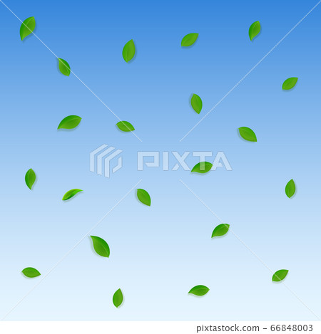 Falling green leaves. Fresh tea random leaves flyi 66848003
