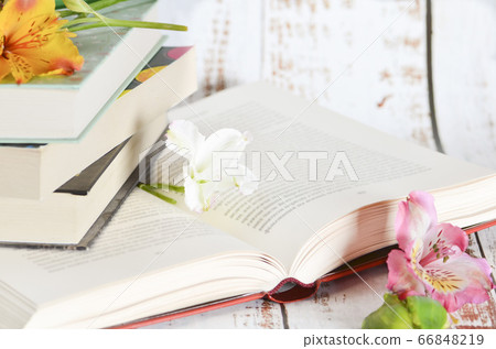 Open book and flowers 66848219