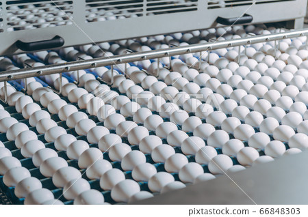 egg factory industry poultry conveyor production egg factory industry poultry conveyor production 66848303