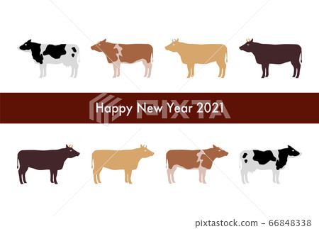 New Year card: 2021 ox year cow type illustration New Year card: 2021 ox year cow type illustration 66848338
