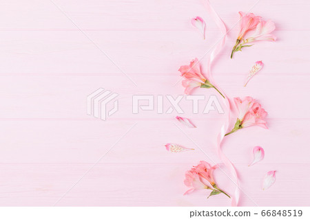 Flat lay composition of delicate buds of Flat lay composition of delicate buds of 66848519